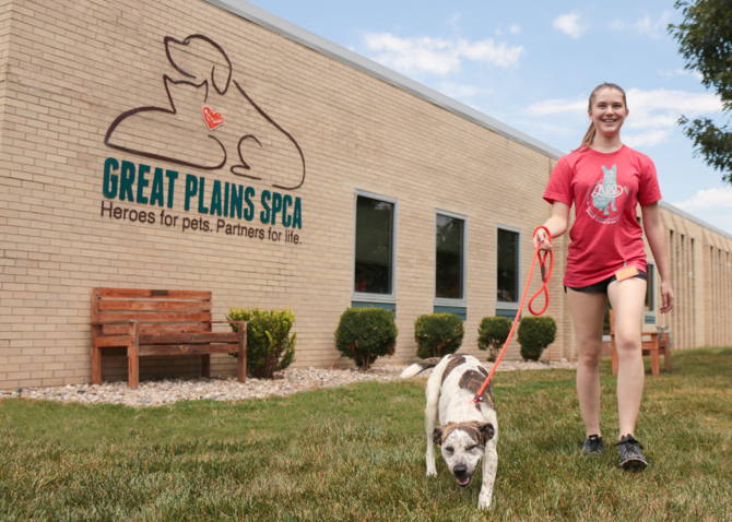 Great Plains SPCA volunteer walking a dog at our Merriam Campus